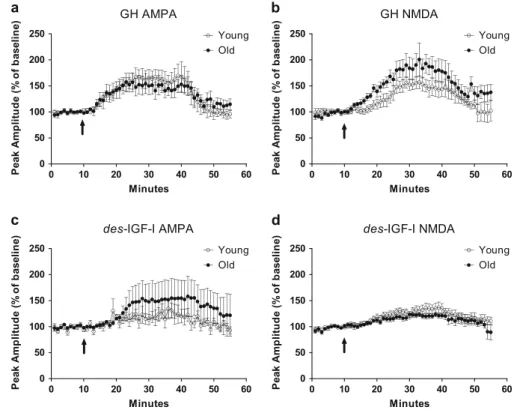 Fig. 4b). The observation that neither hormone altered the PPR is consistent with the notion that GH and  des-IGF-I enhancement of synaptic transmission in young adult and old hippocampal slices is not mediated by an increase in glutamate release and inste