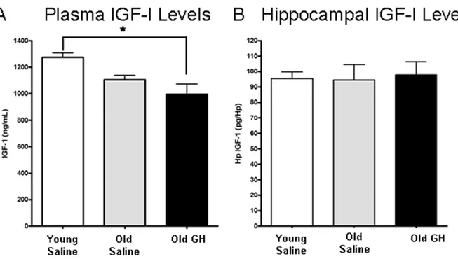 Fig. 7. Examination of insulin-like growth factor-I (IGF-I) plasma and tissue levels. IGF-I levels were determined in the plasma (A) and hippocampus (B) of young saline rats and old rats treated with either saline or growth hormone (GH)