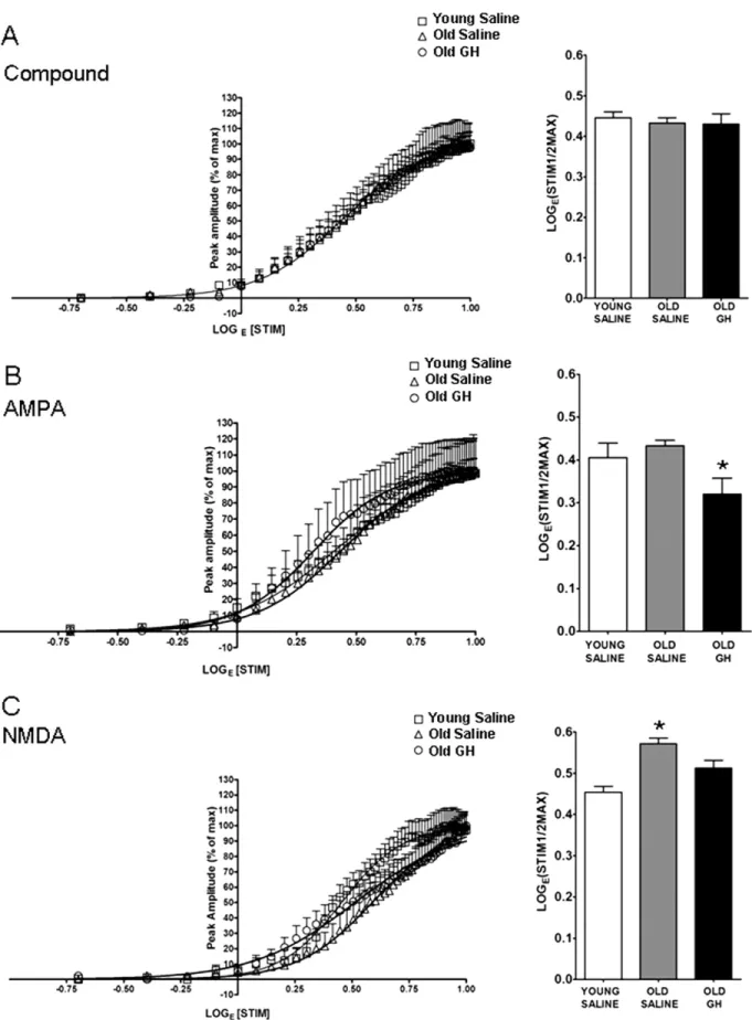 Fig. 2. Curve fitting analysis of compound (CMPD), ␣-amino-3-hydroxy-5-methyl-4-isoxazole propionate (AMPA), and N-methyl-D-aspartate (NMDA) responses