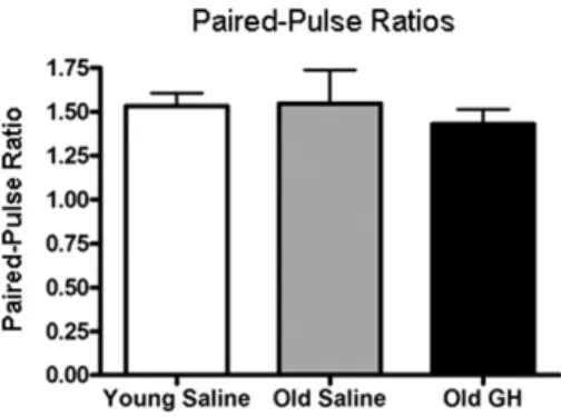 Fig. 3. Presynaptic facilitation. Bar graph illustrating the paired-pulse ratio (amplitude pulse 2/amplitude pulse 1, interpulse interval: 50 ms) of field excitatory postsynaptic potentials (fEPSPs) recorded from young saline rats and in old rats treated w