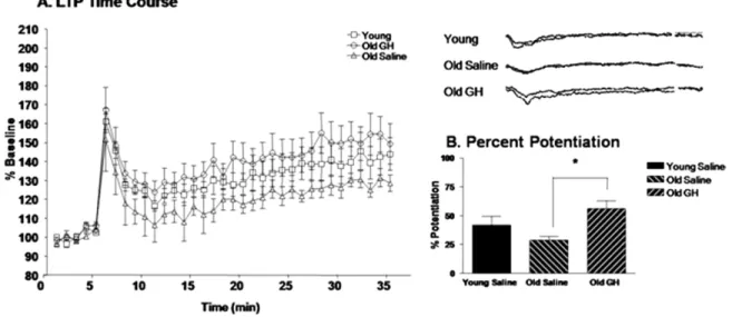 Fig. 4. Long-term potentiation (LTP). The time course of LTP induction in young saline rats and in old rats treated with saline or growth hormone (GH) is represented as percent amplitude of enhancement compared with baseline (A)