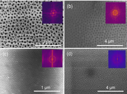 Fig. 2. SEM micrograph of AAO image obtained after anodization with different electrolytes used: (a) phosphoric acid, (b) oxalic acid, and (c) sulfuric acid