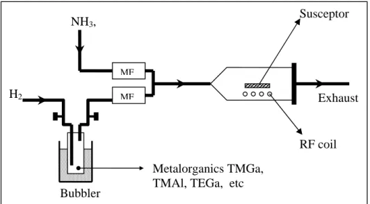 Figure 3.1: Schematic diagram of our MOCVD reactor. 