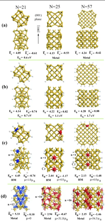 FIG. 1 (color online). Top and side views of optimized atomic structures of various SiNWN’s