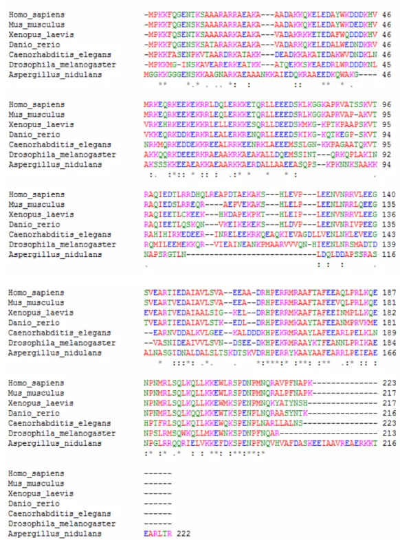 Figure 3.1. ClustalW2 multiple alignment of HANEIN-1 in selected species. Species  name, amino acid positions and alignment for each amino acid are shown