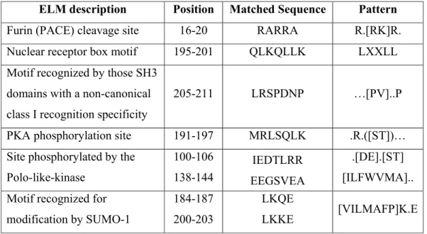 Table 3.2. ELM search for identification of functional sites in HANEIN-1.  