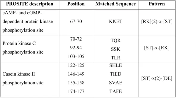 Table 3.3. PROSCAN search results for HANEIN-1.  