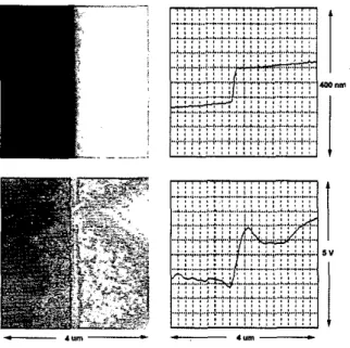 Figure  8.  Images of  chrome edge on  a  photomask. The left half  of  the  images  is  the  glass  substrate  and  the  right  half  is  the  chrome layer