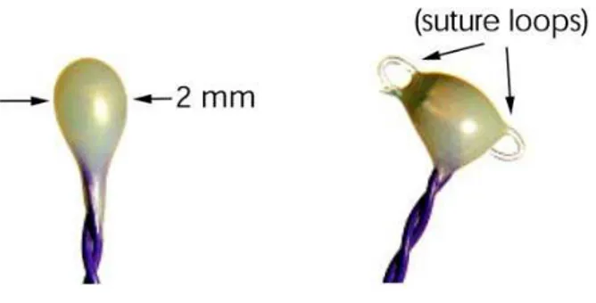 Figure 1.3: Piezoelectric crystals (courtesy of Sonometrics Corporation). Left: Stan- Stan-dard piezoelectric crystal in 2 mm diameter that were used on the base plate