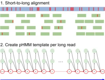 Figure 1. Overview of the Hercules algorithm. Initially (1), short reads are aligned to long reads using an external tool