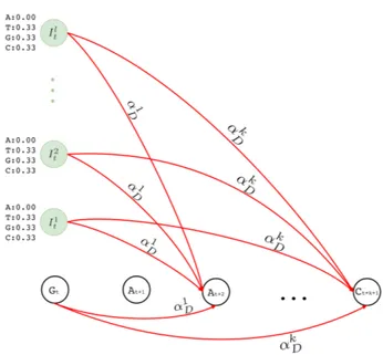 Figure 5. Hercules profile HMM in full. Here we show the overall look at the complete graph that might be produced for a long read M where its tth character is M t and M t ∈ {A, T, G, C} 1 ≤ t ≤ n and n is the length of the long read M (i.e