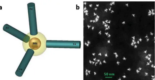 Fig 2. M-H curve of the Mn-Fe heterodopted ZnSe NCs without Fe co-doping (a), with Fe co-doping (b)
