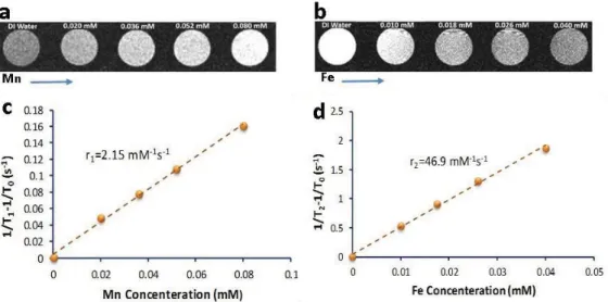 Fig 3. T 1 -weighted (a) and T 2 -weighted (b) in vitro MRI images of the NCs at different Mn and Fe concentration,  respectively