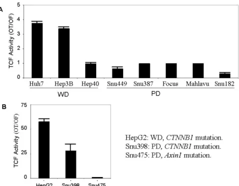 Figure 4.1.1: TCF/LEF activity in WD and PD HCC cell lines. A) TCF activity in well-differentiated  (WD) and poorly differentiated (PD) HCC cell lines without any mutations in CTNNB1 or Axin1