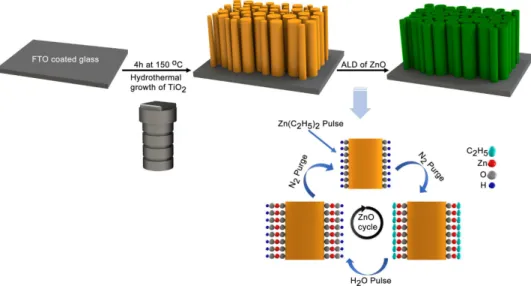 Figure 1 (drawn in SOLIDWORKS ®   software) is a schematic describing the preparation route for TiO 2 -ZnO  photocatalyst via one-step hydrothermal synthesis of TiO 2  NW core followed by atomic layer deposition (ALD)  of ZnO shell