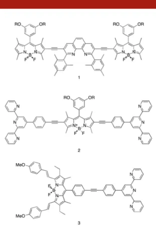 Figure 2. Structure of 1-Zn(II) complex.