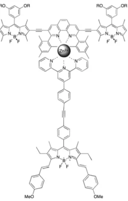 Figure 4. Structure of heteroleptic 1-Zn(II)-3 complex.