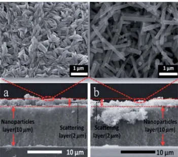 Fig. 9 Cross-sectional SEM images of (a) a TiO 2 NP –rice grain nano- nano-structure electrode, and (b) a TiO 2 NP –NF electrode