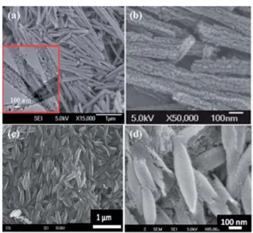 Fig. 4 Schematic diagram of an electrospun NF based DSSC. 67