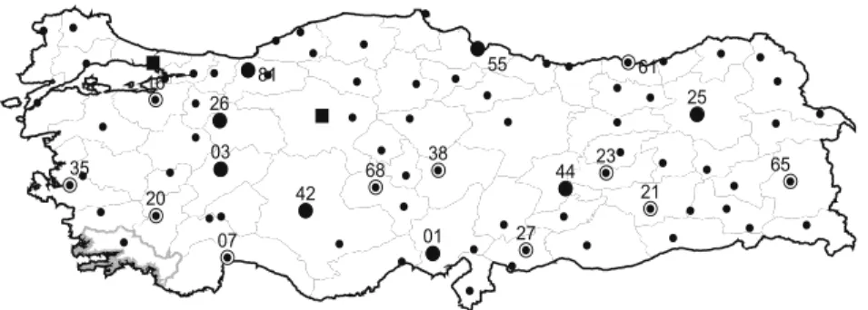 Fig. 8. The hub network for n ¼ 81; a C ¼ 0:8; a H ¼ 0:9; p ¼ 10, and b ¼ 1.