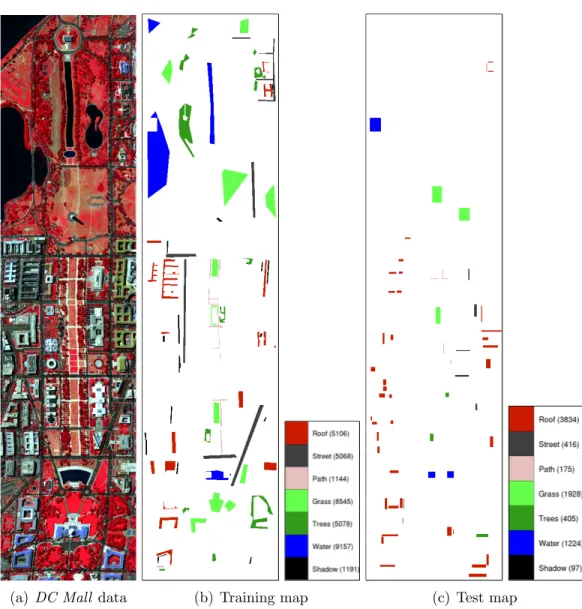 Figure 3.1: False color image of the DC Mall data set (generated using the bands 63, 52 and 36) and the corresponding ground truth maps for training and testing