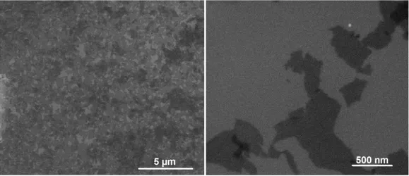 Figure 5.1: SEM images of graphene flakes on a Si substrate 