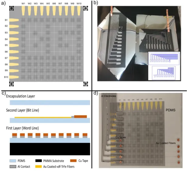 Figure  13.  Fabrication  steps  for  the  artificial  skin  using  second  step  fibers