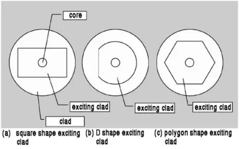 Fig. 2.6.3 Different cladding shapes in order to increase pump absorption. 