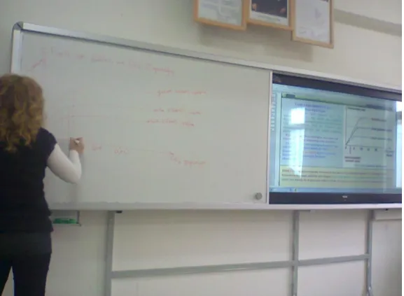 Figure 2. IWB in biology classroom 