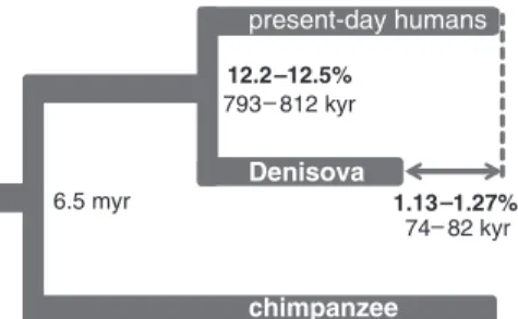 Fig. 2. Average sequence divergence and branch length differences between the Denisovan genome and 11 present-day humans represented as a tree.