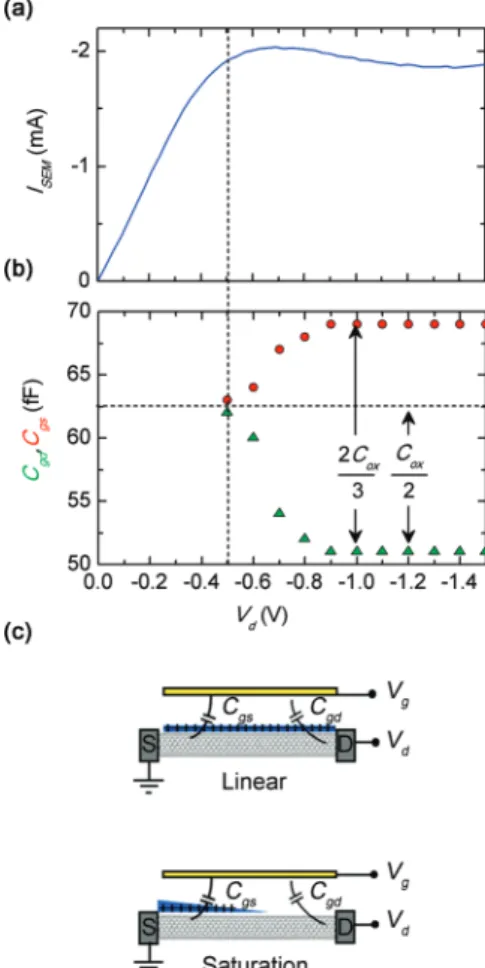 Figure 5 . Capacitance contributions in SWNT array transistors: