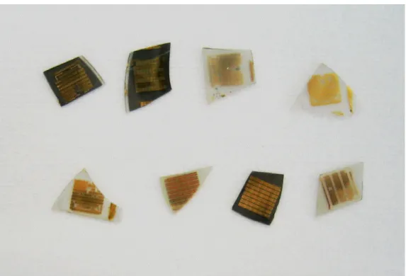 Fig. 4.18: Completed AlGaN photodiode samples which are ready for  characterization. 