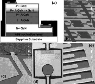 Fig.  1:  (a)  Cross-sectional  schematic  of  a  completed  pin  PD.  (b)-(c)  SEM  pictures  of  SB  AlGaN  p-i-n  PD  sample