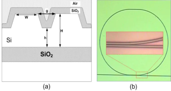 Fig. 1. (a) Cross sectional schematic view of the designed rib waveguide and the coupling region