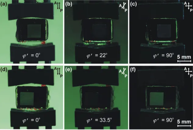 Fig. 9. Photographs of the twist LC cells placed between parallel polarizers. LC cells consist with a pair of substrates: (a) the reference glass plate is the rubbed PI2555ﬁlm and tested plate is the non-rubbed ODAPI ﬁlm formed by the dipping technique; (b
