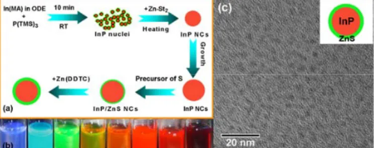 Figure 1. (a) Schematic of the synthetic procedure of InP/ZnS NCs. (b)  Photograph of the samples with different ratios of  InP:ZnS excited by UV light