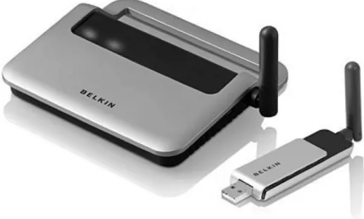 Figure 2.2 A commercial wireless USB product.