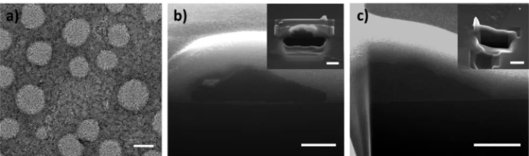 Figure 6. Emission spectrum of the OL NP monolith integrated blue LED at increasing currents along with the chromaticity points of the emitted light (inset, right)
