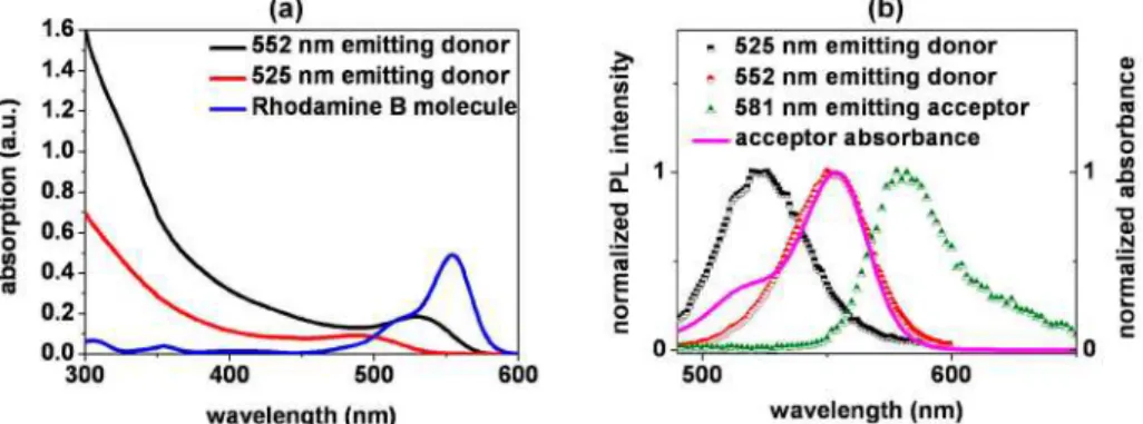 Figure  1a  shows  the  optical  absorption  spectra  of  these  differently  sized  CdTe  quantum  dot  donors  carefully  chosen  by  size  selection,  along  with  that  of  Rhodamine  B  acceptor  molecules in water