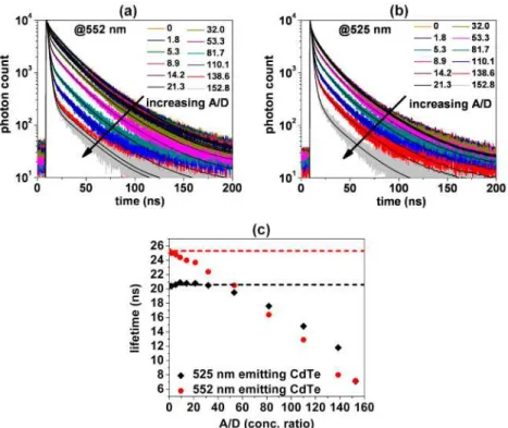 Fig.  3.  TRPL  measurements  of  donor  molecules  taken  by  adding  controlled  amounts  of  dye  acceptors  into  the  aqueous  donor  solution,  using  CdTe  quantum  dots  emitting  at  the  peak  wavelength  of  (a)  552  nm  and  (b)  525  nm,  all