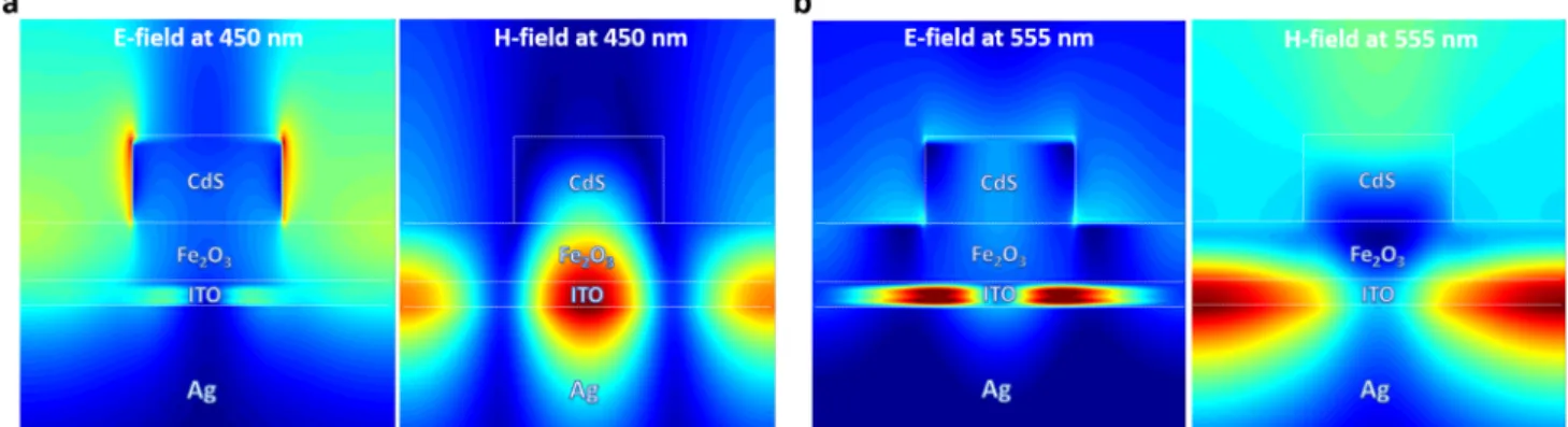 Fig. 5 The E-field and H-field distribution for the proposed metasurface design in two different wavelengths of (a) 450 and (b) 555 nm