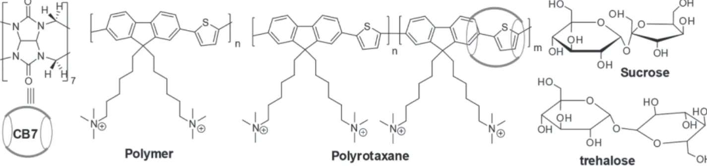 Figure 1.  Molecular structures of cucurbit[7]uril (CB7), poly(9,9′-bis(6″-(N,N,N-trimethylammonium)hexyl)fluorene-alt-co-thiophenelene) (polymer)  and CB7-threaded poly(9,9 ′-bis(6″-(N,N,N-trimethylammonium)hexyl)fluorene-alt-co-thiophenelene) (polyrotaxa