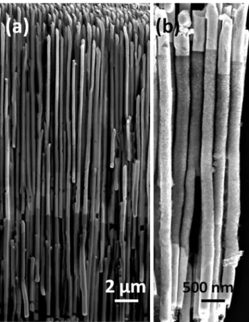 FIG. 1. Arrays of Au-Ni-Au segmented NWs (a) inside the alumina mem- mem-brane and (b) the NWs immobilized on glass after etching of the memmem-brane.