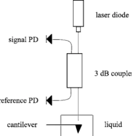 FIG. 5. Schematic view of fiber interferometer.