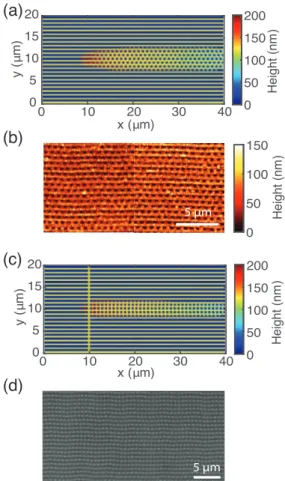 Fig. 2 (a), (b) Simulation results of scanning along the x-direction with vertically polarised laser beam