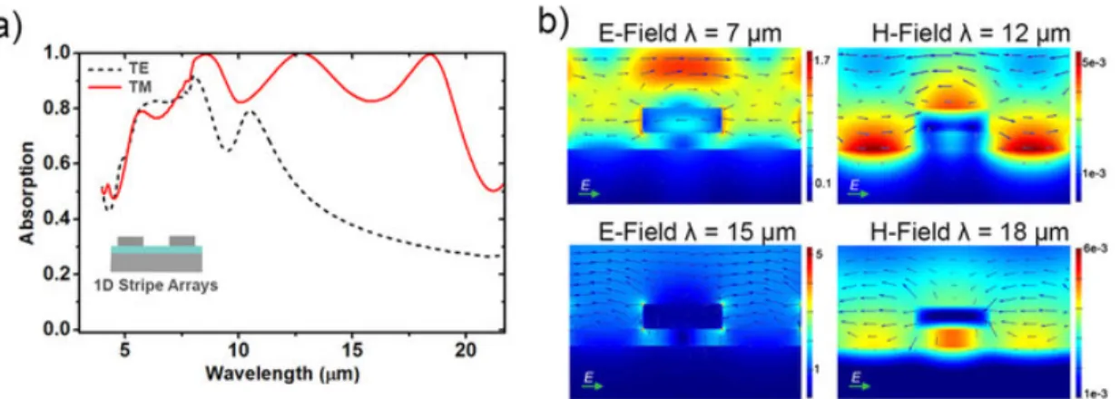 Figure 3.4: (a) Simulated absorption spectra of the 1D structure with periodicity 8 µm and fill ratio of 0.5 for TE and TM polarizations