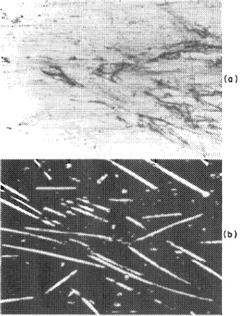 FIG.  9.  (a)  Optical and  (b)  acoustic images of glass-tiber-reinforced  poly- poly-carbonate