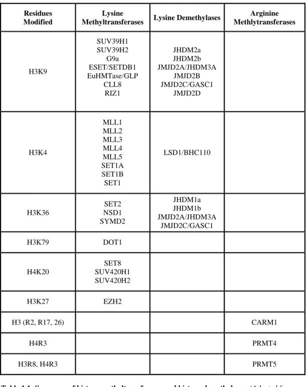 Table 1.1: Summary of histone methyltransferases and histone demethylases. (Adapted from  Kouzarides T, 2007) 