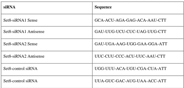 Table 3.2: siRNA sequences 