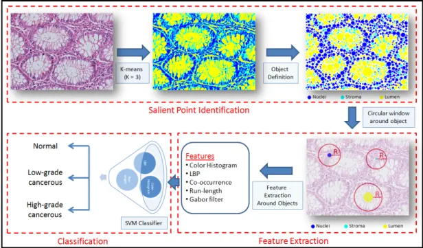Figure 3.1: The ﬂowchart of the proposed histopathological image processing system.
